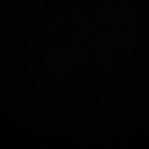 Meet your Posher, Gracie